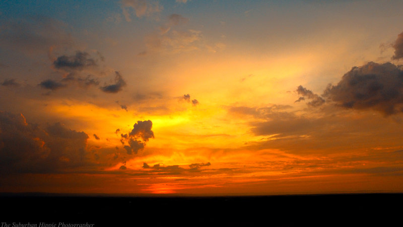 Sunset in the field July 25 2016-two-web.jpg