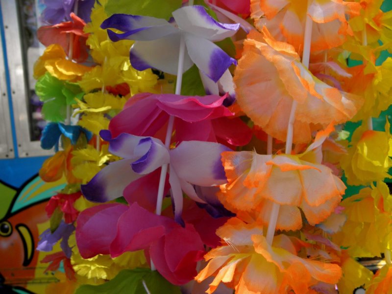 County Fair Leis