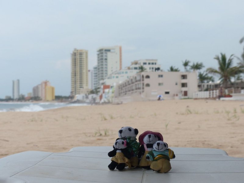 The Pandafords Visit Playa Escondida