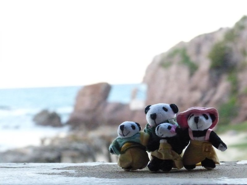 The Pandafords Visit Playa Bruja Mazatlan Mexico