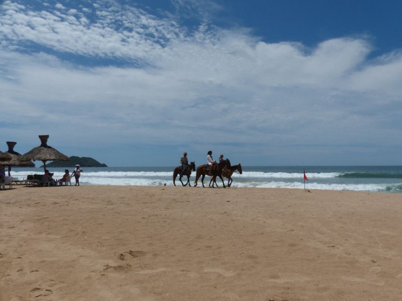Playa Bruja Horses