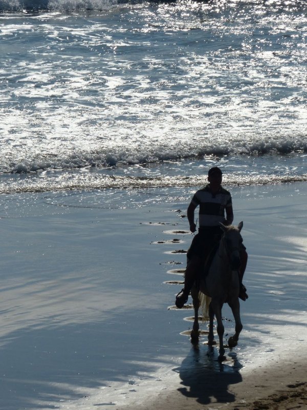Playa Sabalo Horseback Riding