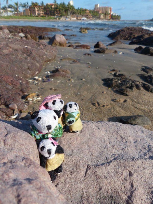 The Pandafords Visit Playa Sbalo