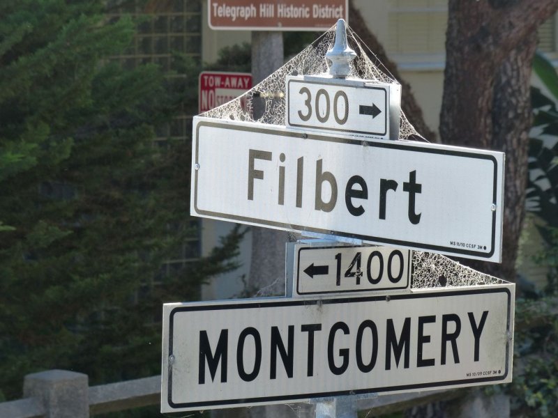 Filbert & MONTGOMERY