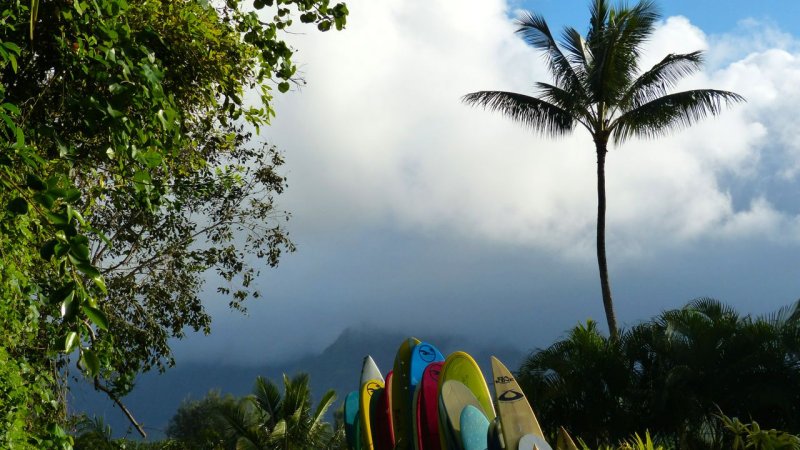 Hanalei Bay Surfboards