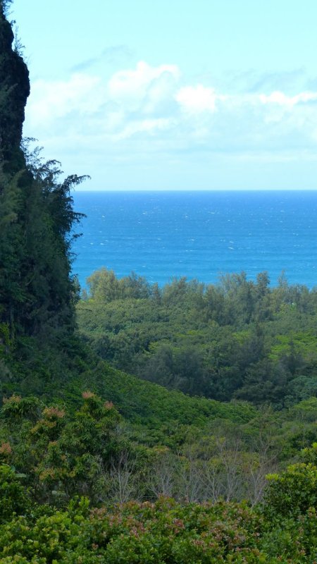 Limahuli Garden and Preserve Ocean View
