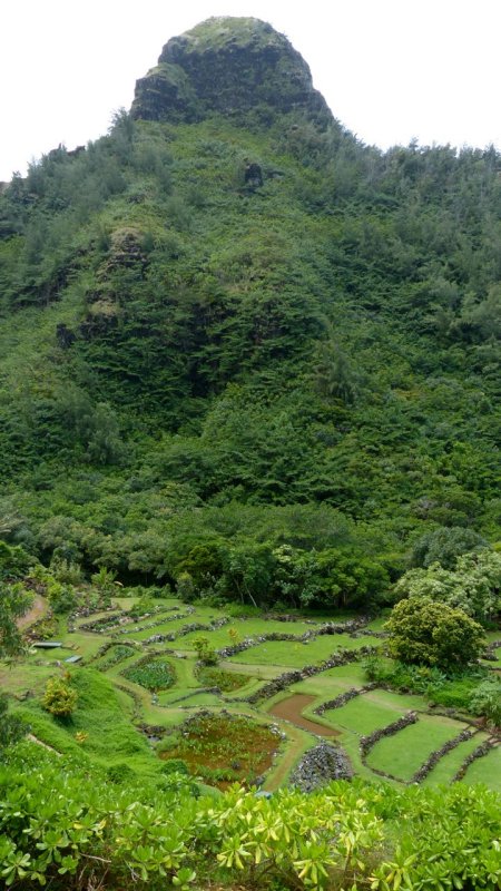 Limahuli Garden and Preserve