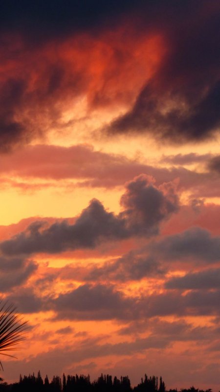 Hanalei Bay Sunset