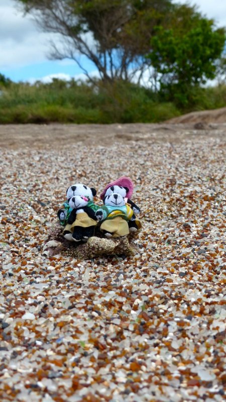 The Pandafords Visit Glass Beach