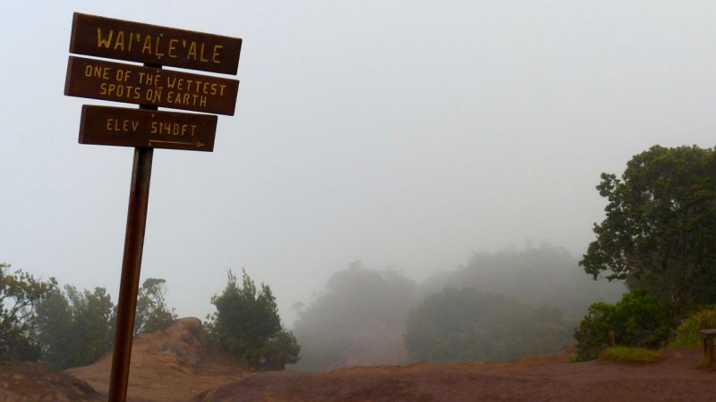 Wai'ale'ale Lookout