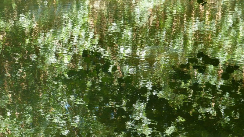 Wailua River