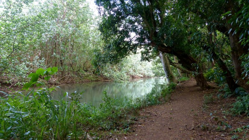 Wailua River
