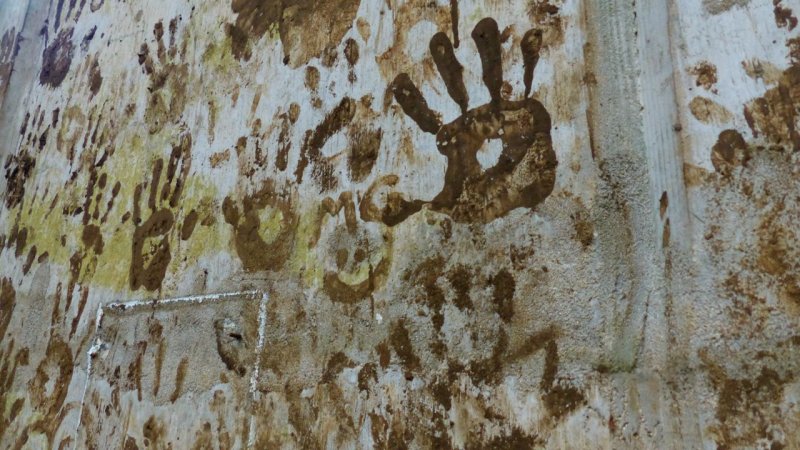 Uluwehi Falls Trail Mud Handprints