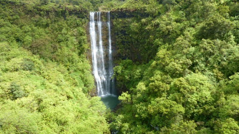 Jack Harter Helicopter Tour