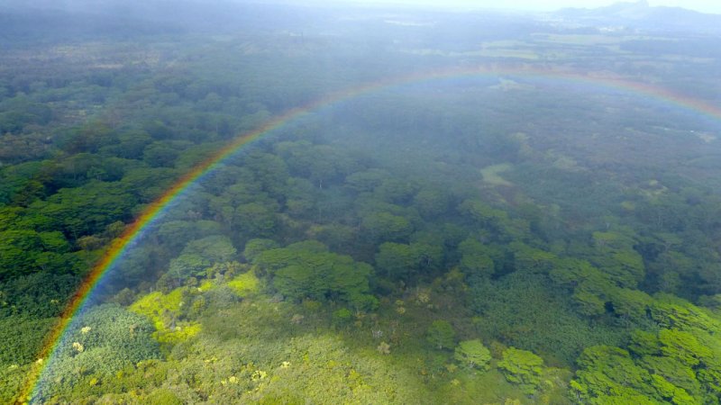 Jack Harter Helicopter Tour