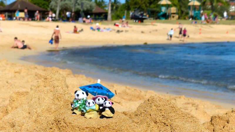 The Pandafords Visit Poipu Beach
