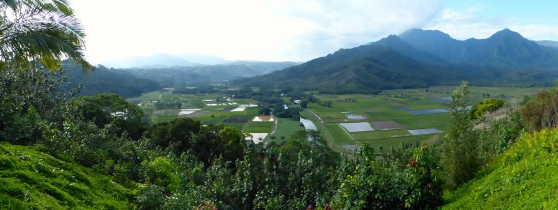 Hanalei Valley