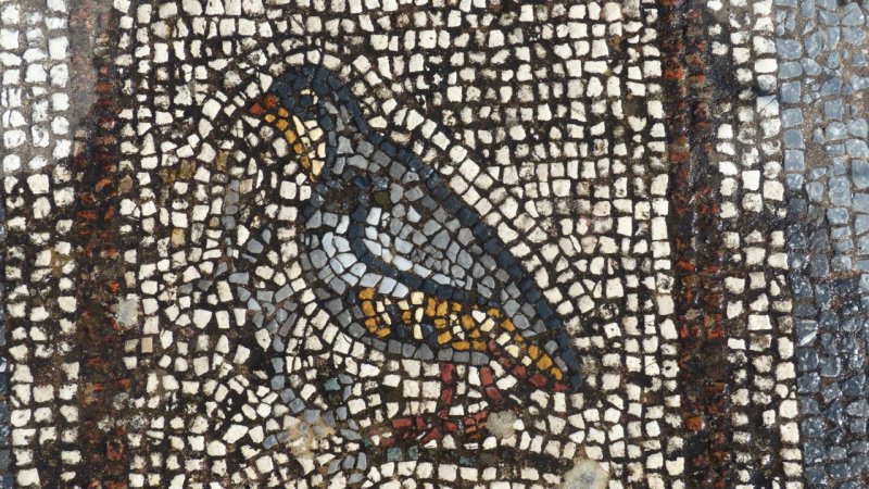 Kos Town Ancient Agora Mosaic