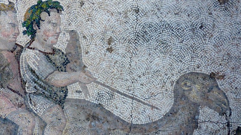 The Great Palace Mosaic Museum
