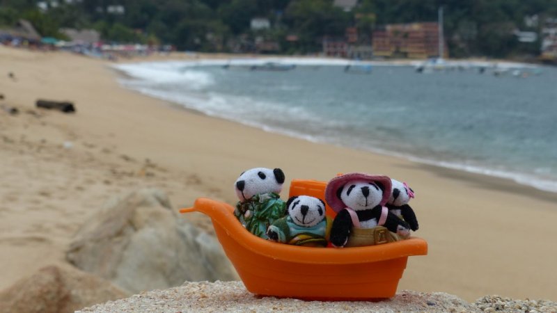 The Pandafords in Yelapa