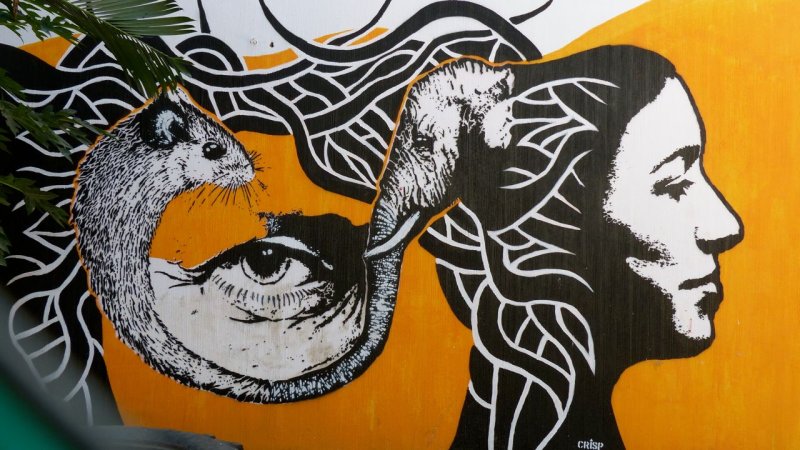 Sayulita Street Art by Crisp