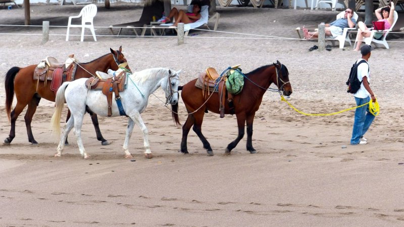 Beach Rides