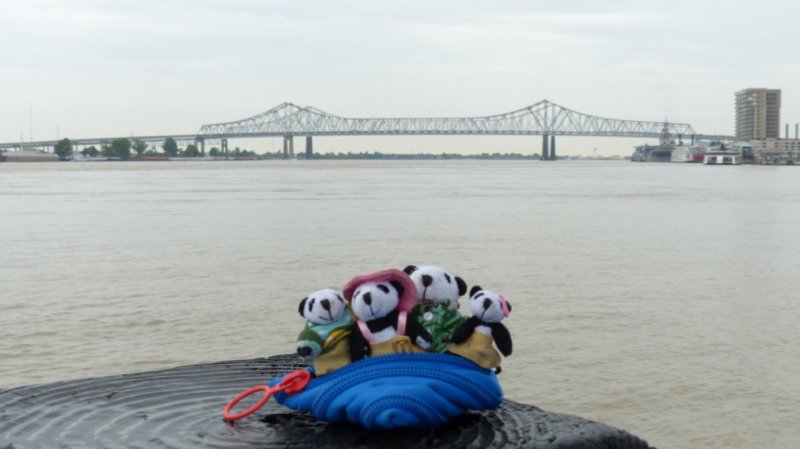 The Pandafords visit the Mississippi River