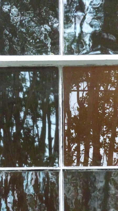 Garden District window reflection