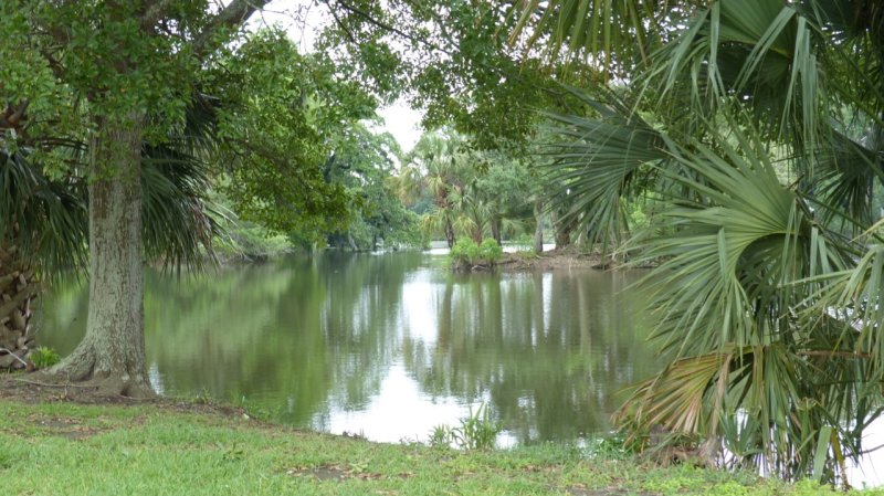 New Orleans City Park