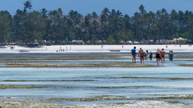 Kiwengwa Beach