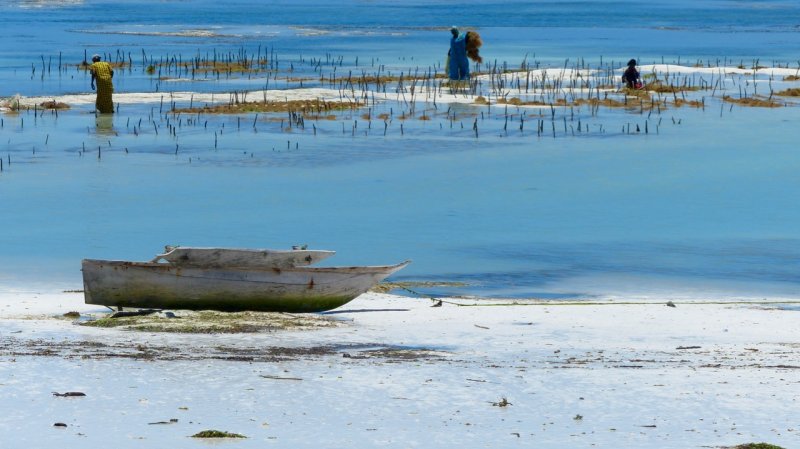 Kiwengwa Beach