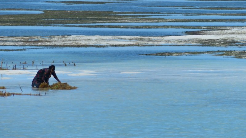 Kiwengwa Beach