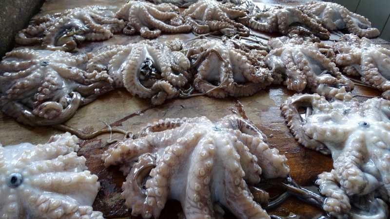 Octopus at the Fish Market