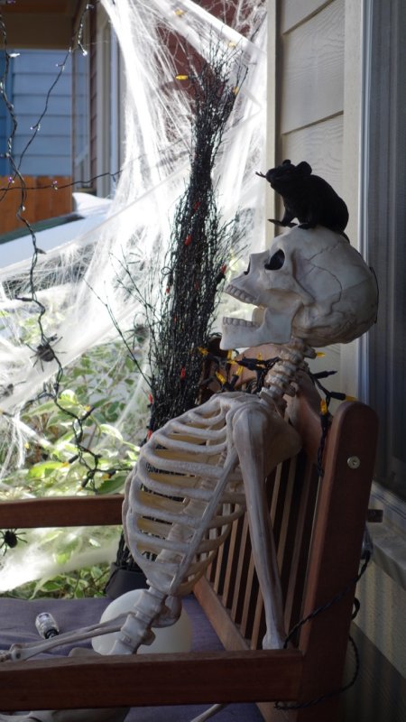 Izzy's Front Porch on Halloween