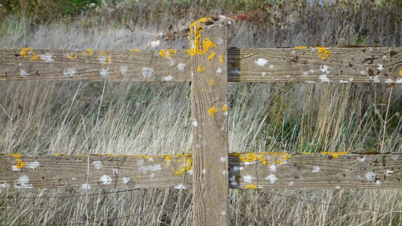 McMinnville Fence