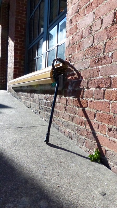 Cane Outside the Cable Car Museum