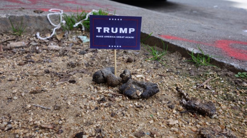 Trump on a Dump