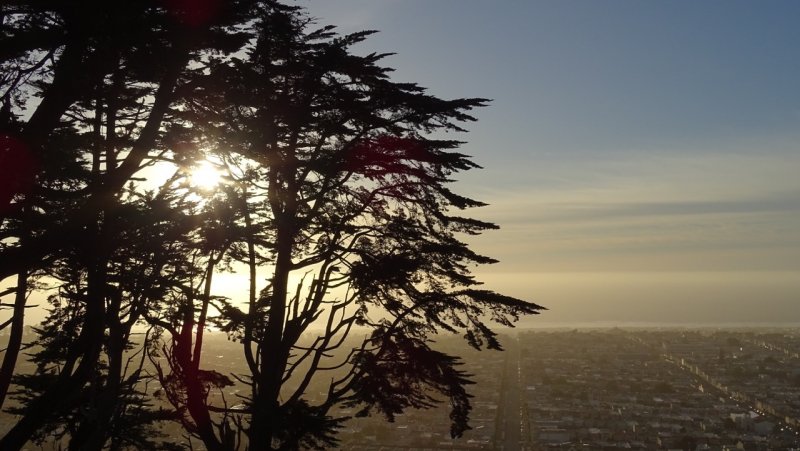 Sunset District from Grand View Park