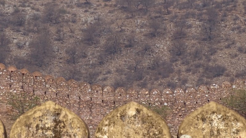 Amer Fort Walls