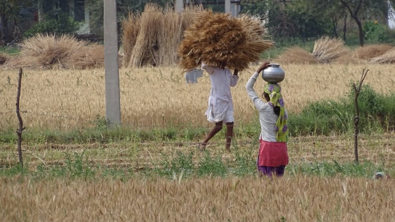 Sawai Madhopur Farmers