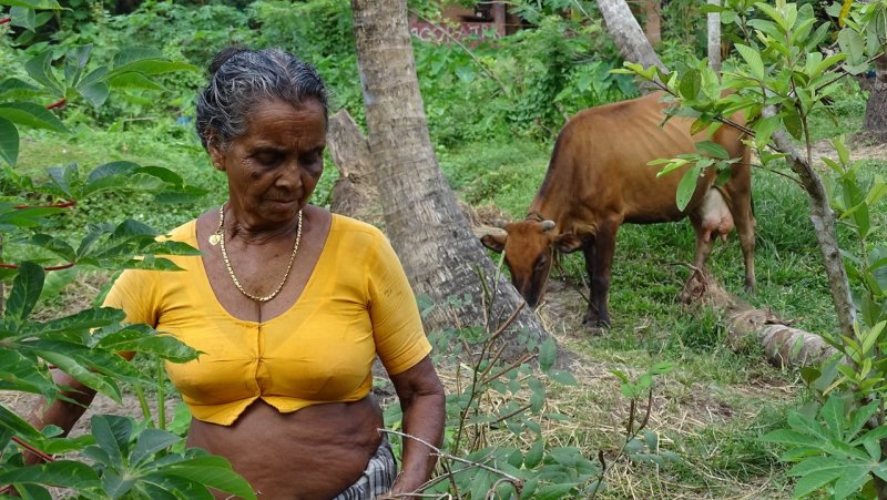 Kerala Farmer