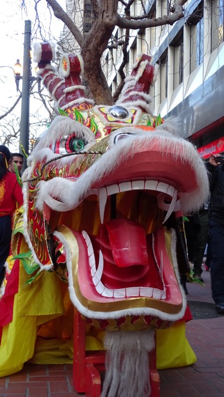 Lunar New Year Parade Dragon