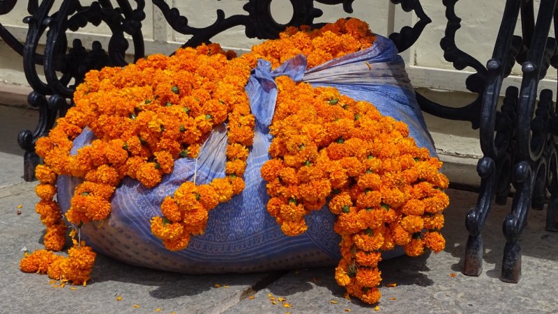 Jagmandir Wedding Flowers