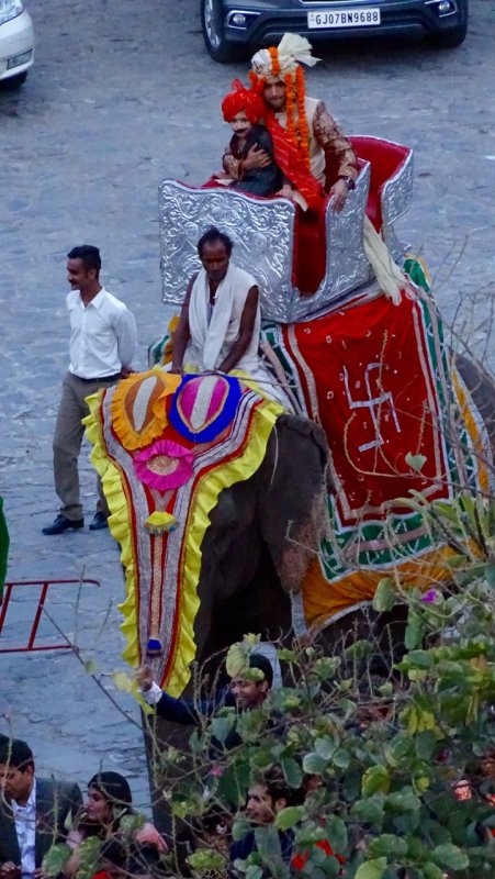 Groom Arriving on an Elephant