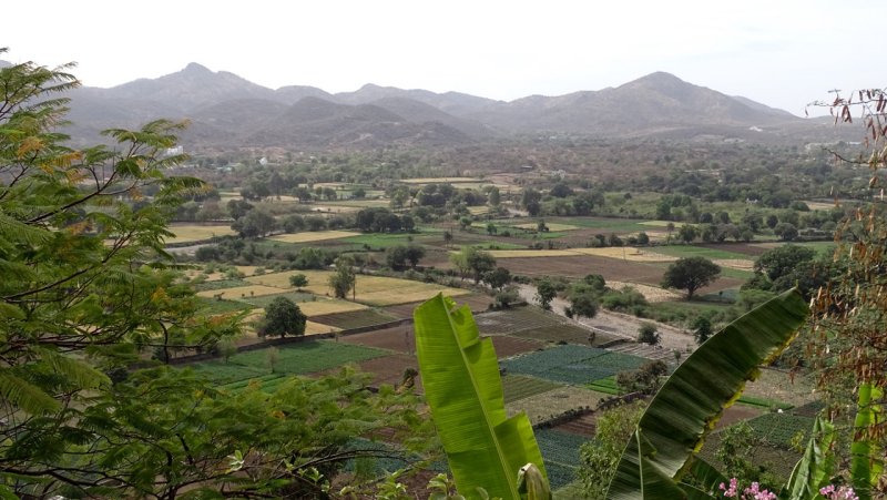 Rural Udaipur