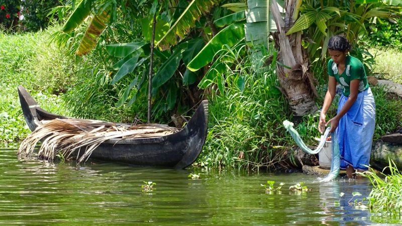 Alleppey Backwaters