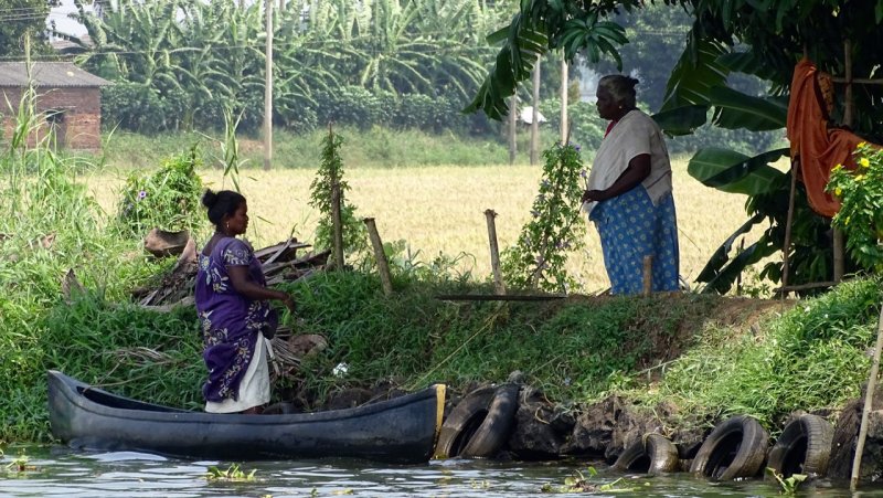 Alleppey Backwaters