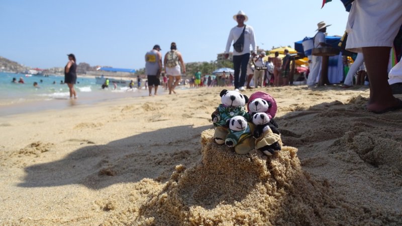 The Pandafords on Medano Beach