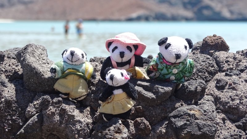 The Pandafords visit Balandra Beach, La Paz