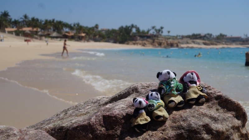 The Pandafords visit Chileno Beach
